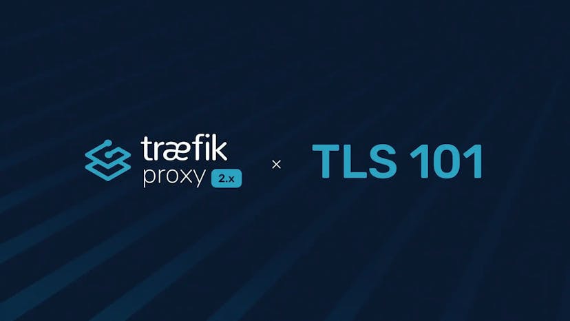 Traefik Proxy 2.x and TLS 101